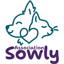 Sowly