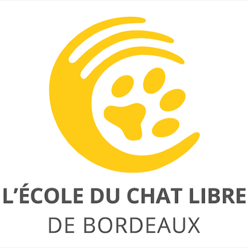 L'école du chat